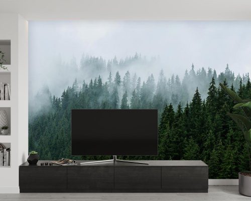 پوستر دیواری طبیعت جنگل مه آلود W10032300