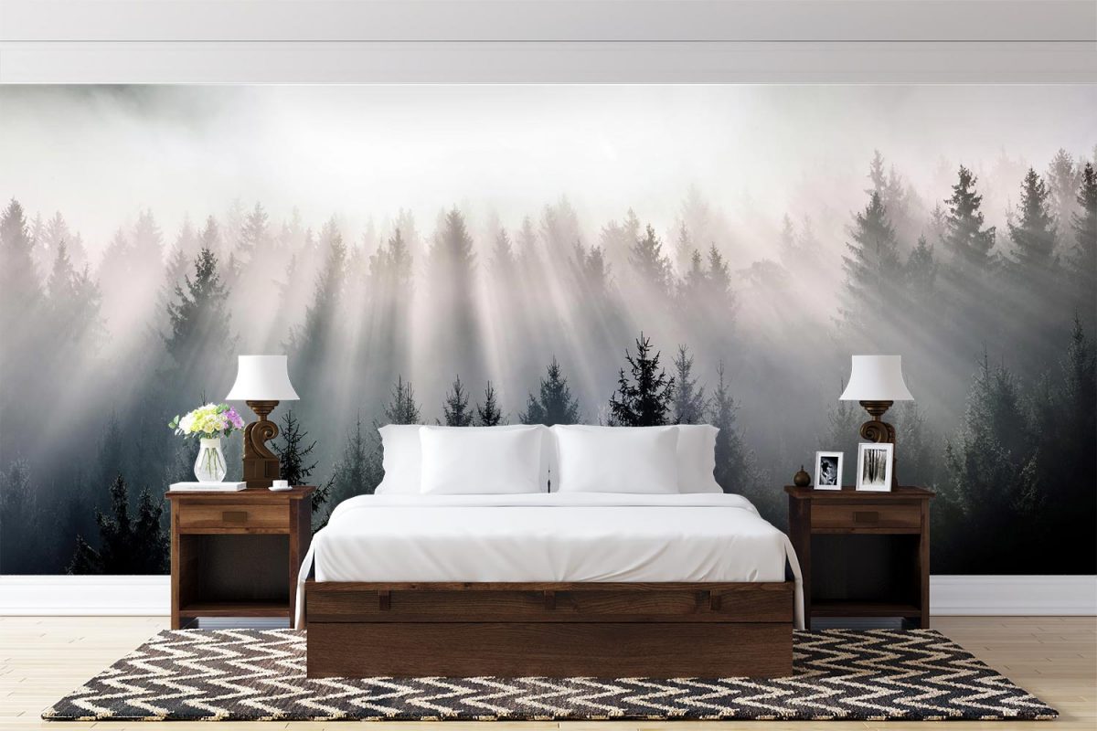 پوستر دیواری طبیعت جنگل W10038500