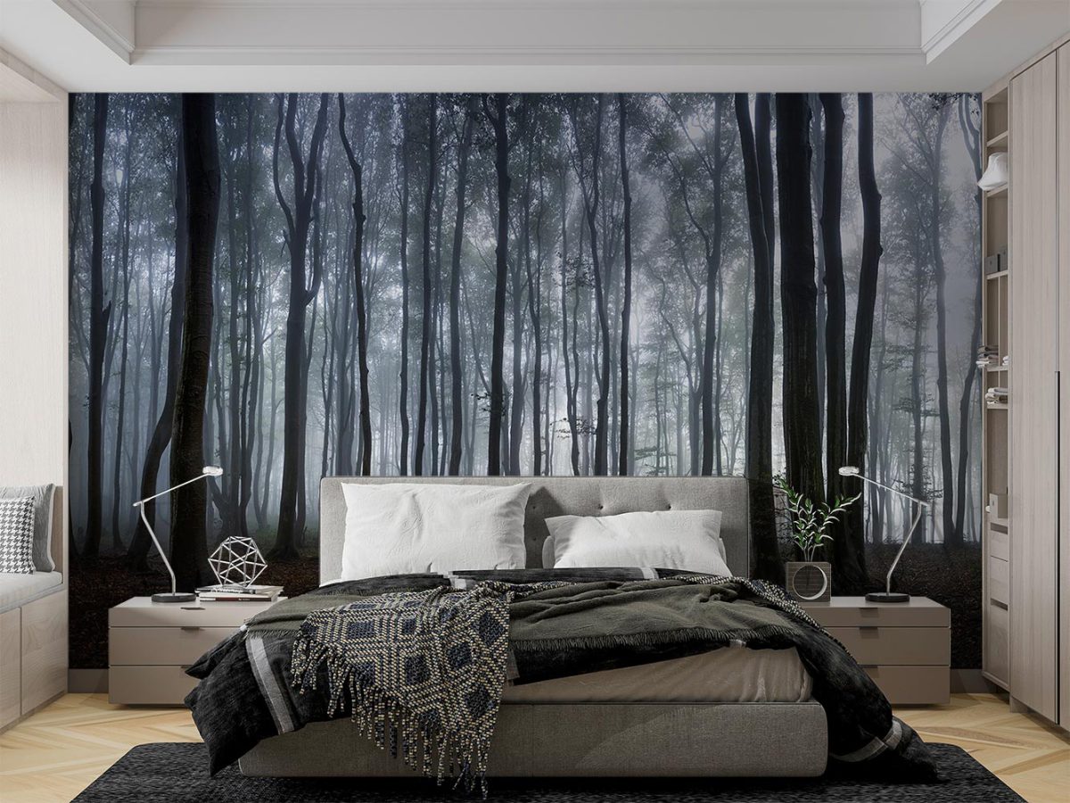 پوستر دیواری جنگل و مه W10051600