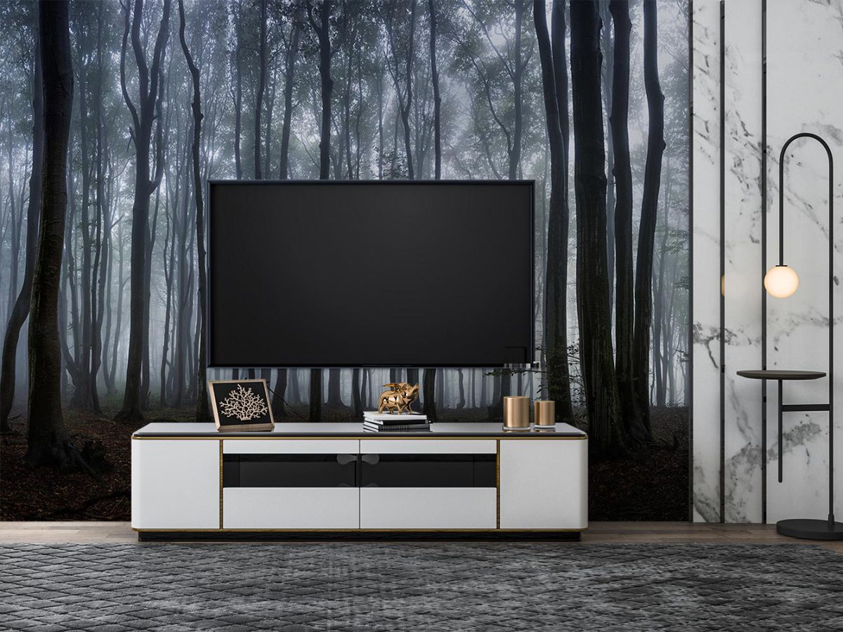 پوستر دیواری جنگل و مه W10051600 پشت تلویزیون