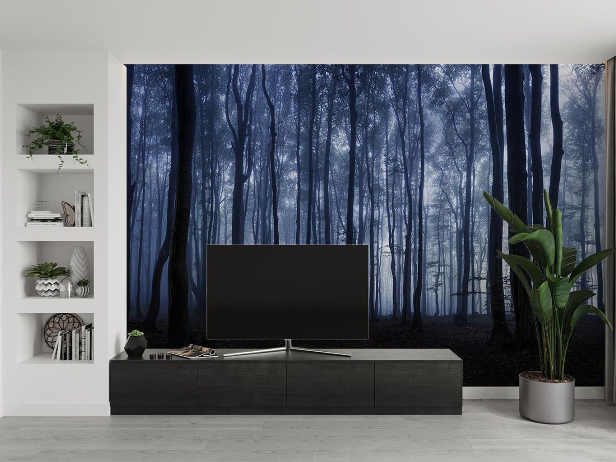 پوستر دیواری طبیعت جنگل مه W10051610 پشت تلویزیون