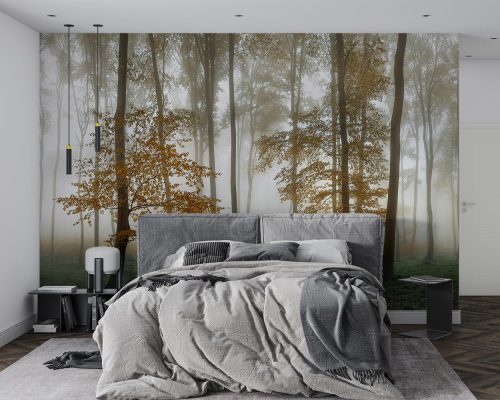 پوستر دیواری جنگل و درخت W10052500