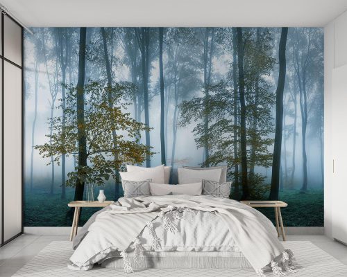 پوستر دیواری جنگل و درخت W10052510