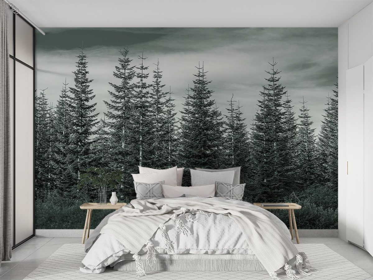 پوستر دیواری طبیعت درختان کاج W10052700 برای اتاق خواب