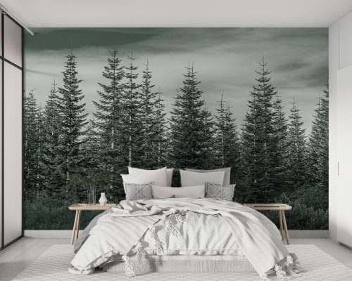پوستر دیواری طبیعت درختان کاج W10052700