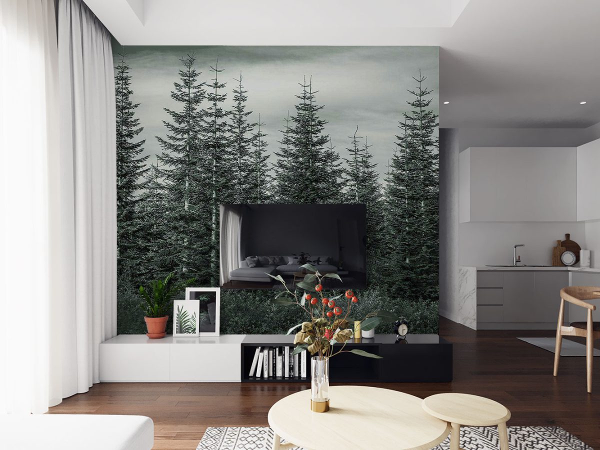 پوستر دیواری طبیعت درختان کاج W10052700 پشت تلویزیون