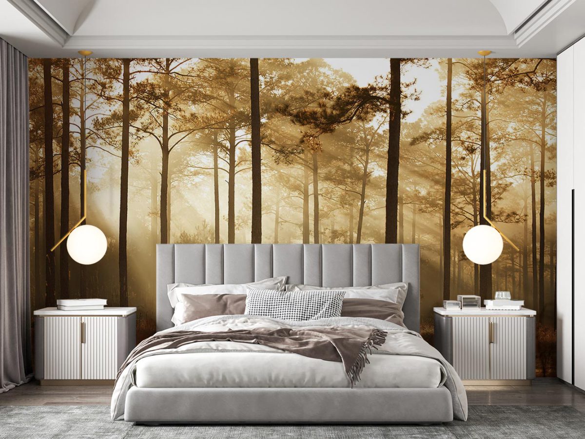 پوستر دیواری کلاسیک جنگل و نور W10053110