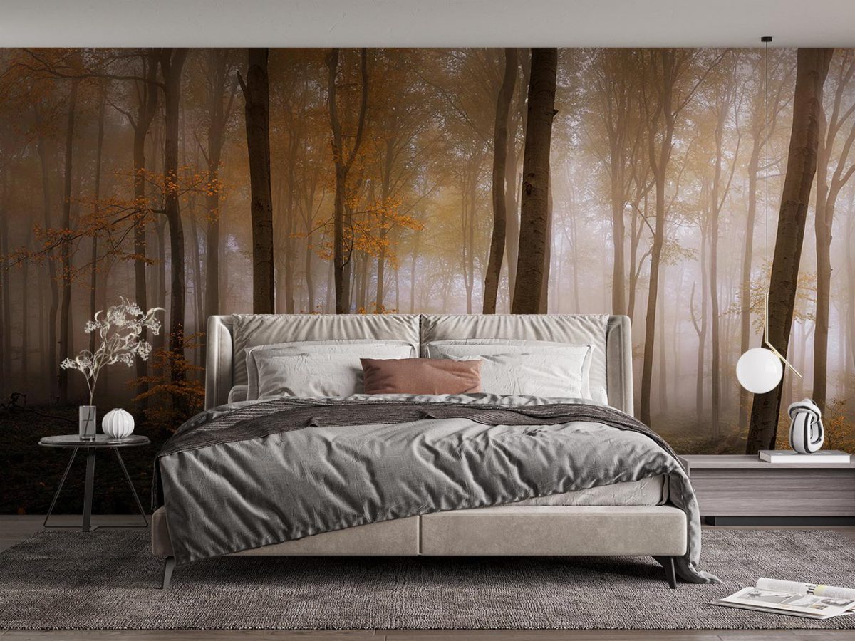 پوستر دیواری منظره جنگل و مه W10053310 اتاق خواب