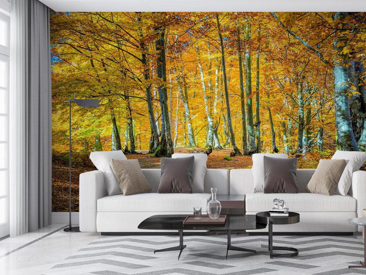 پوستر دیواری طرح جنگل پاییزی W10058400