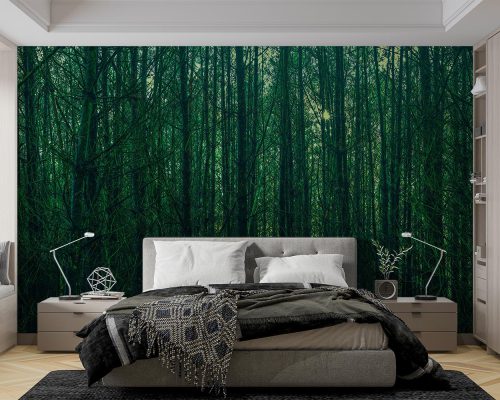 پوستر دیواری جنگل و طبیعت W10058500