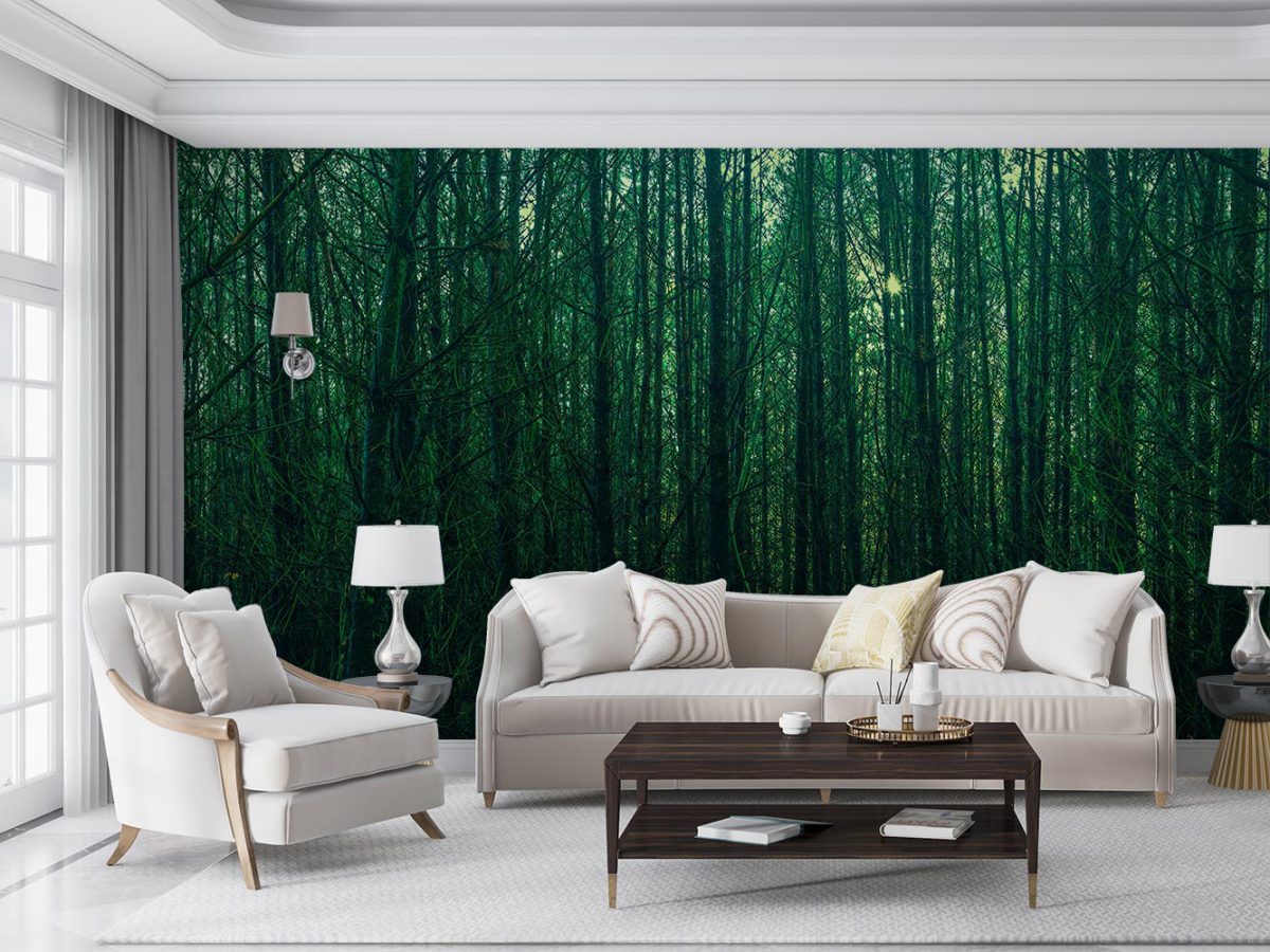 پوستر دیواری جنگل و طبیعت W10058500 برای پذیرایی