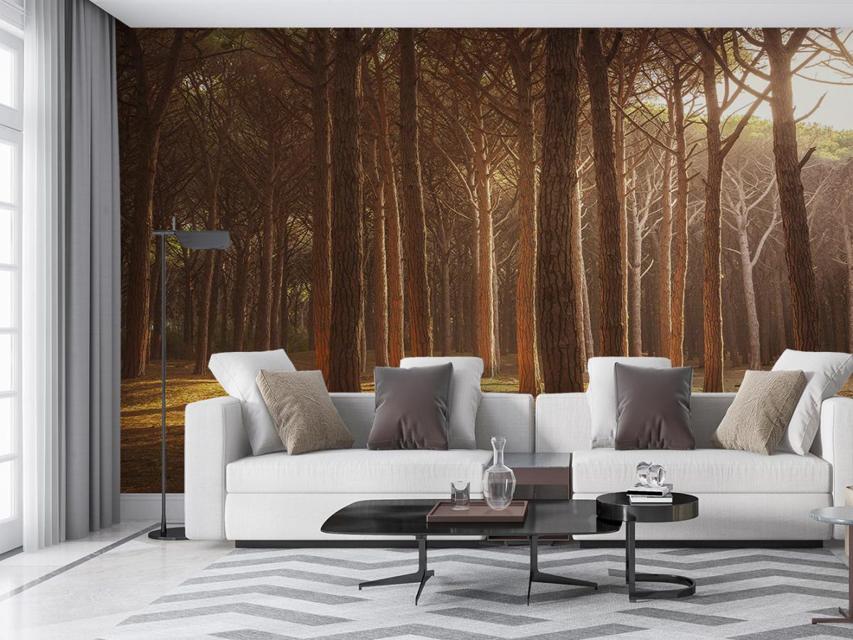 پوستر دیواری درخت جنگل W10059700 سالن پذیرایی