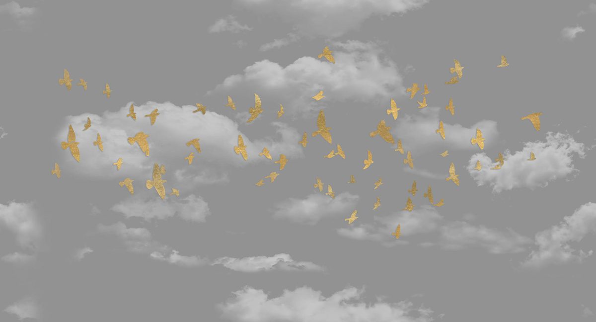 پوستر دیواری آسمان و پرندگان W12013400