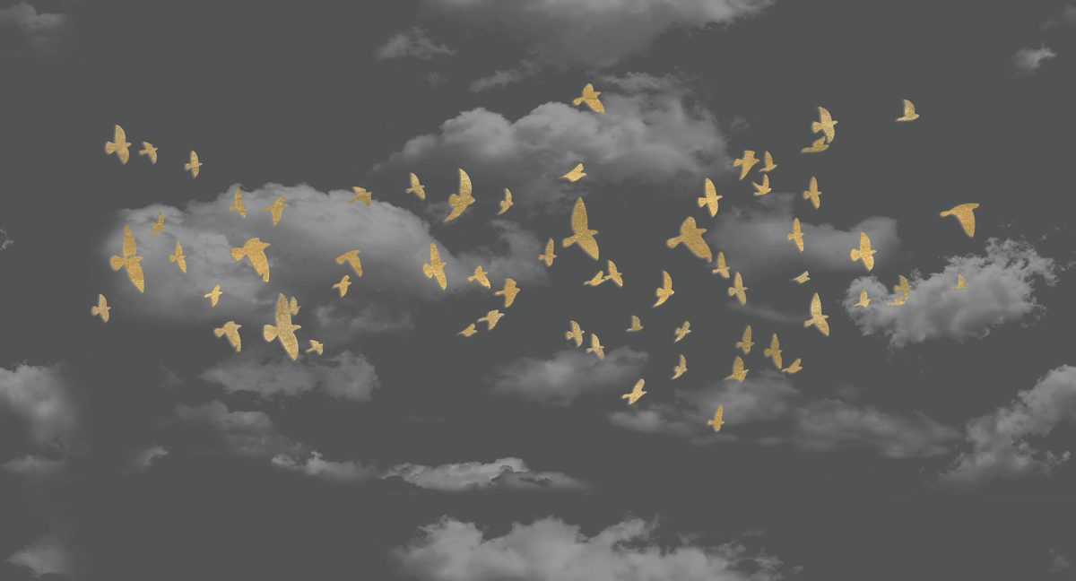 پوستر دیواری آسمان و پرندگان W12013410