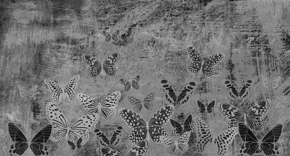 پوستر دیواری طرح پروانه ها w11010610