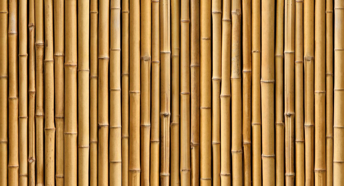 کاغذ دیواری طرح چوب بامبو w11015500