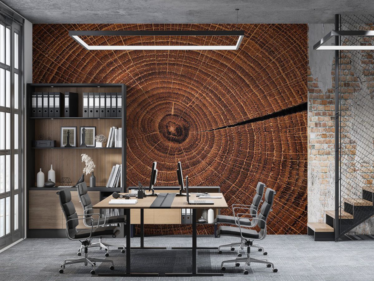 کاغذ دیواری طرح چوب w11023200 اداری دفتر کار