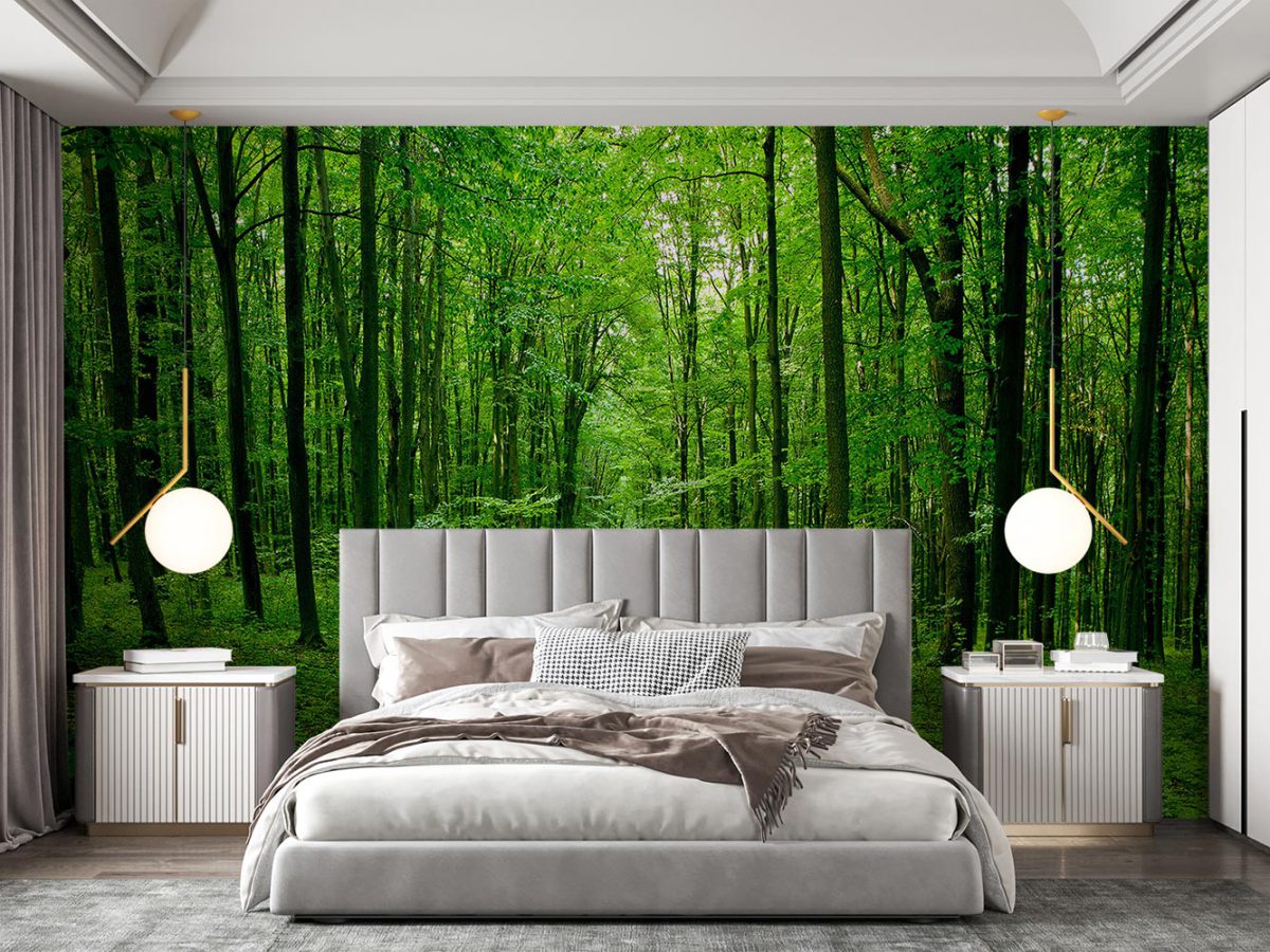 پوستر دیواری طبیعت جنگل W13011500