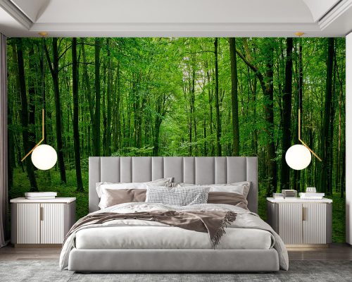 پوستر دیواری طبیعت جنگل W13011500