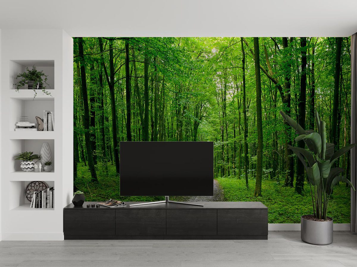 پوستر دیواری طبیعت جنگل W13011500 مناسب دکور پشت تلویزیون