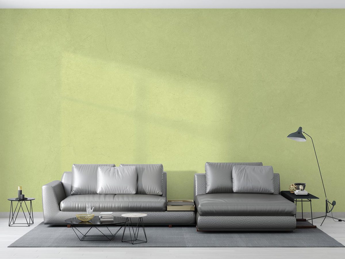 کاغذ دیواری سبز ساده بدون طرح W20011300