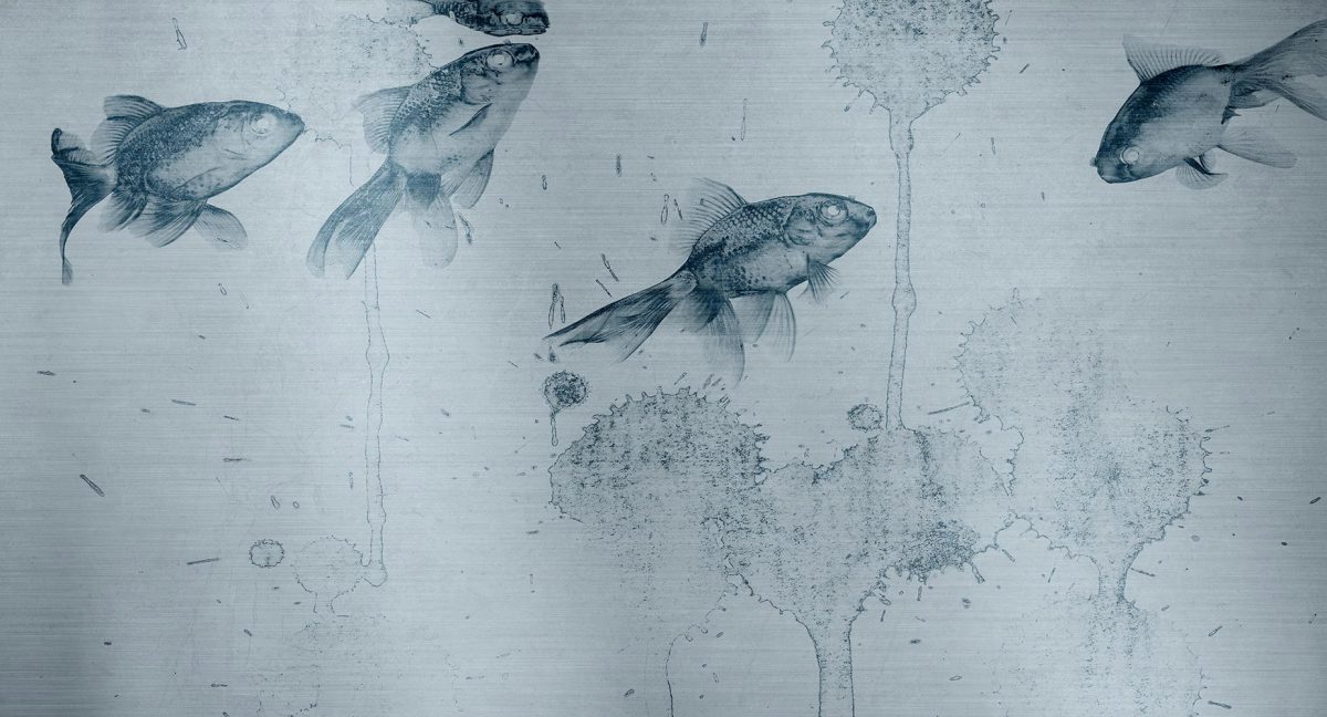 پوستر دیواری طرح ماهی W10110100