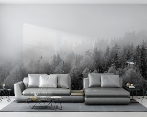 پوستر دیواری سیاه و سفید جنگل W10111600