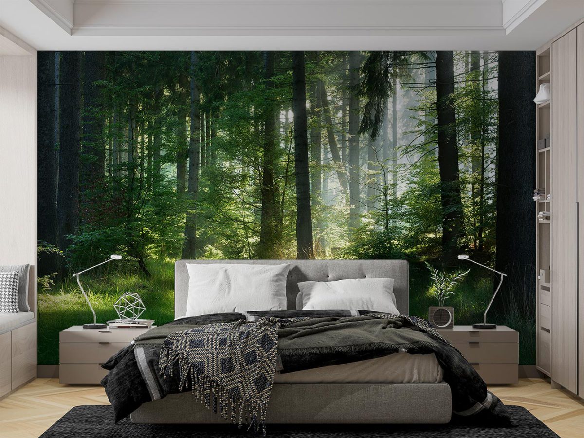 کاغذ دیواری اتاق خواب منظره طبیعت جنگل W10113500