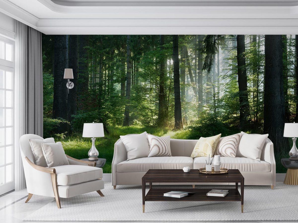 پوستر دیواری منظره طبیعت جنگل W10113500