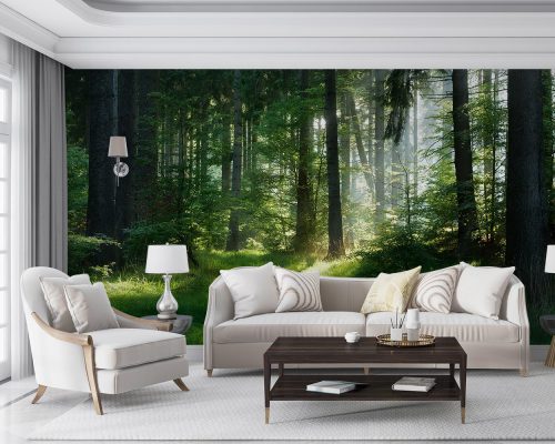 پوستر دیواری منظره طبیعت جنگل W10113500