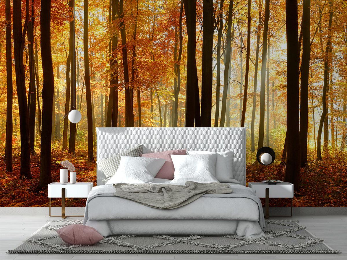 کاغذ دیواری اتاق خواب طبیعت درختان پاییزی W10113700