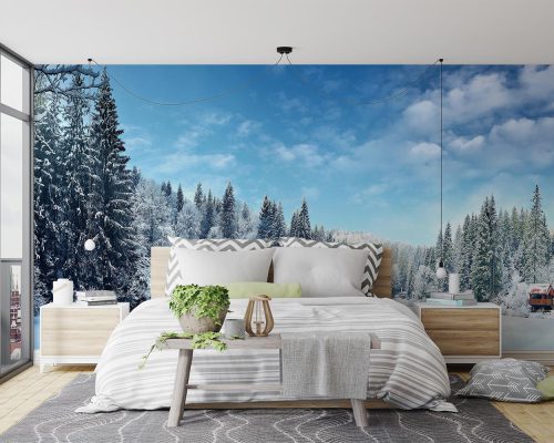 پوستر دیواری طبیعت برفی و زمستانی W10116800