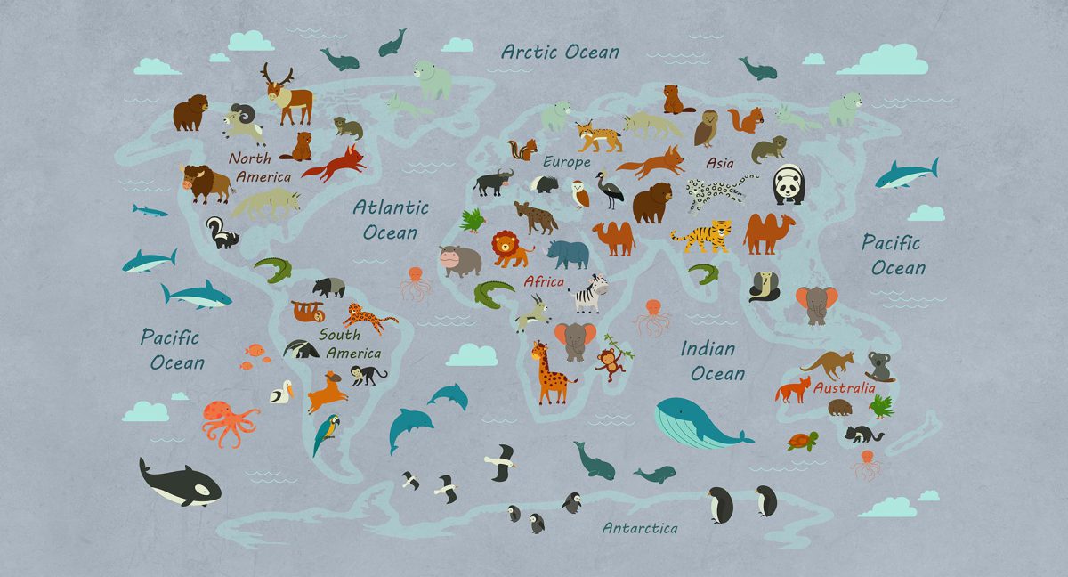 پوستر دیواری کودکانه نقشه و حیوانات W10127200