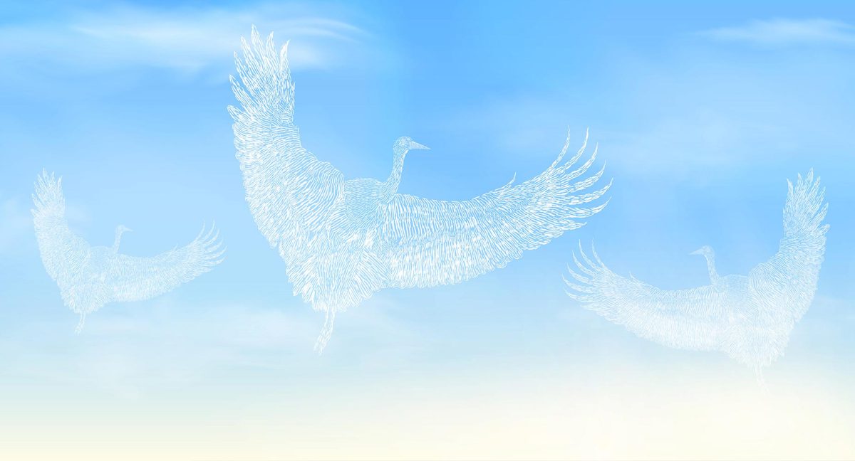 پوستر دیواری پرنده و آسمان W10138600