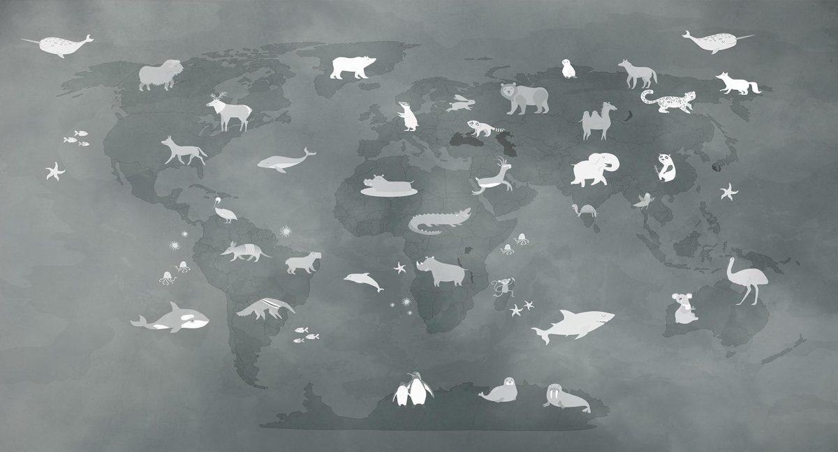 پوستر دیواری کودکانه نقشه حیوانات W10156100