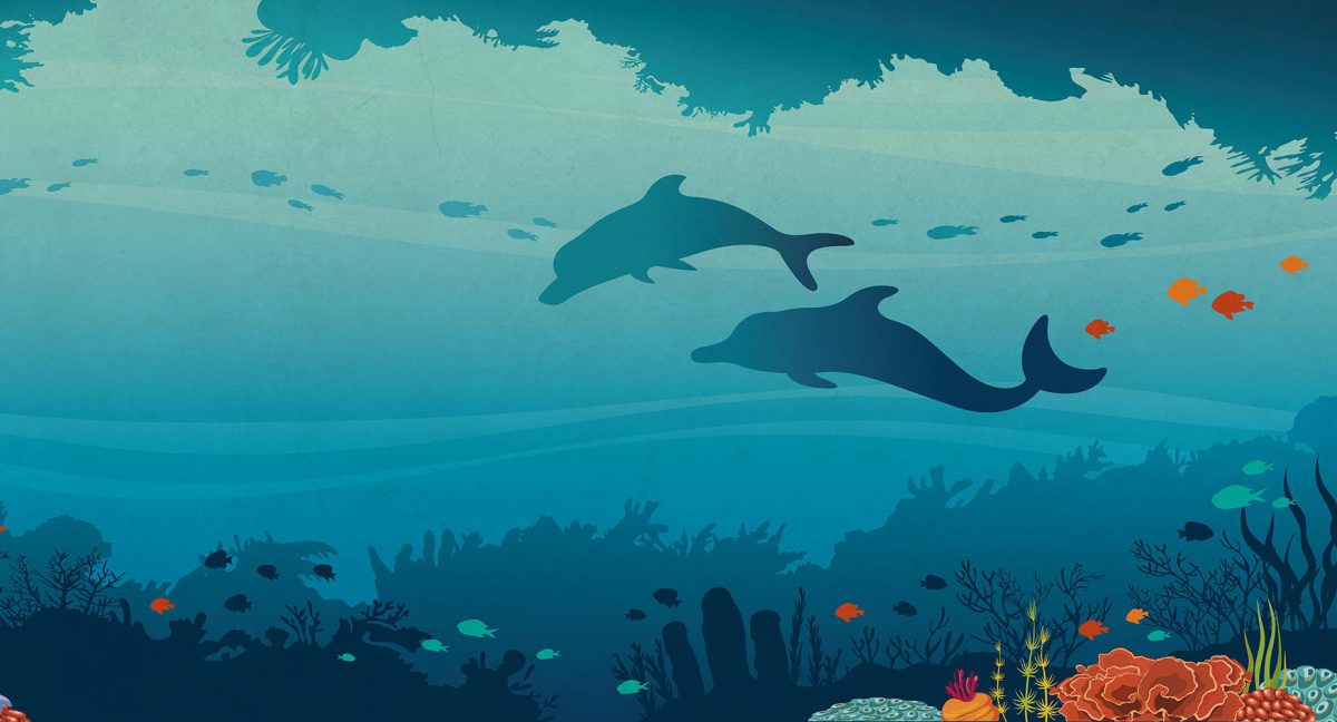 پوستر دیواری دریا و دلفین W10163500