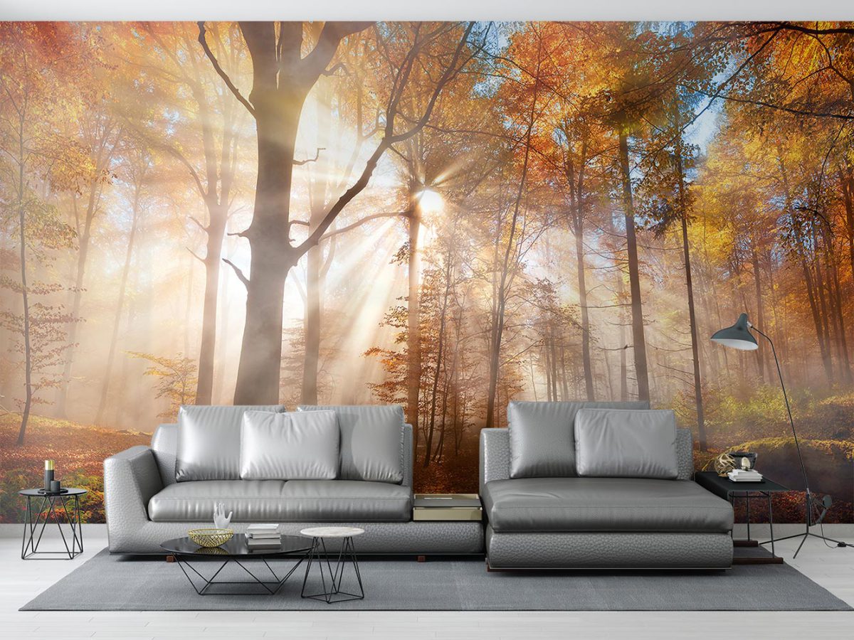 پوستر دیواری پذیرایی منظره پاییز طبیعت W10171100