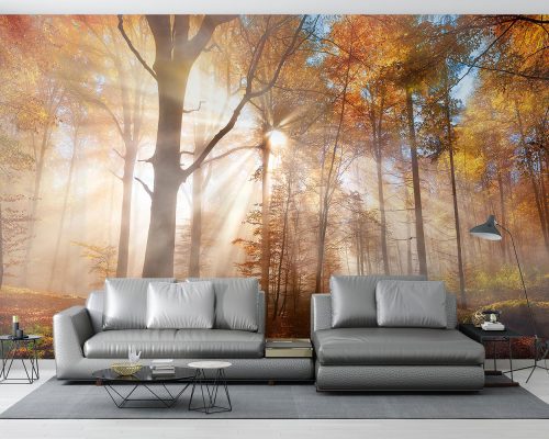 پوستر دیواری منظره پاییز طبیعت W10171100