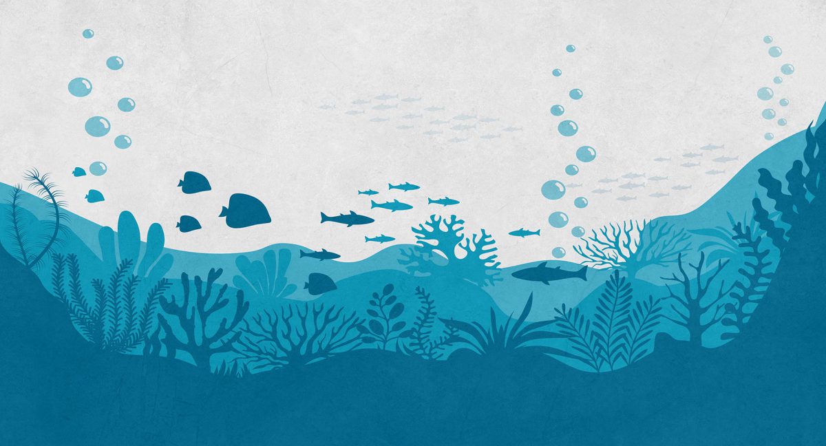 پوستر دیواری کودک دریا ماهی W10227200