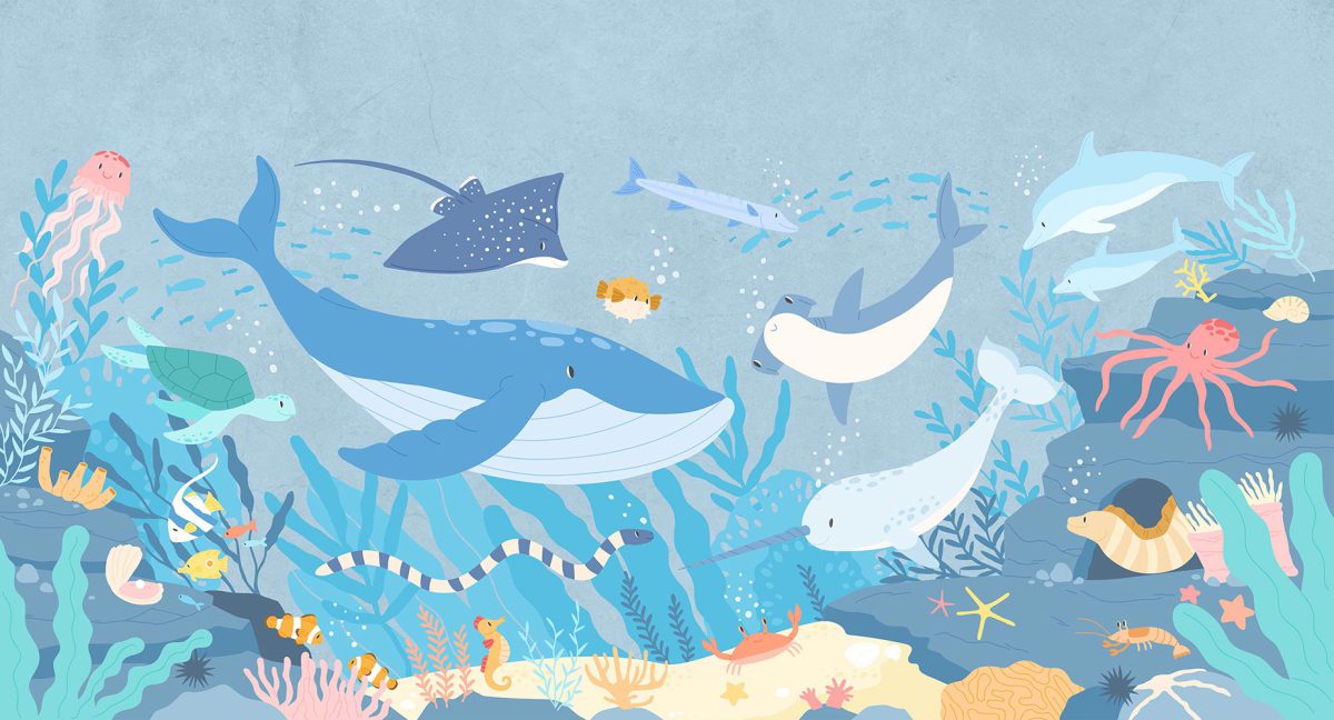 پوستر دیواری کودک ماهی نهنگ W10244500
