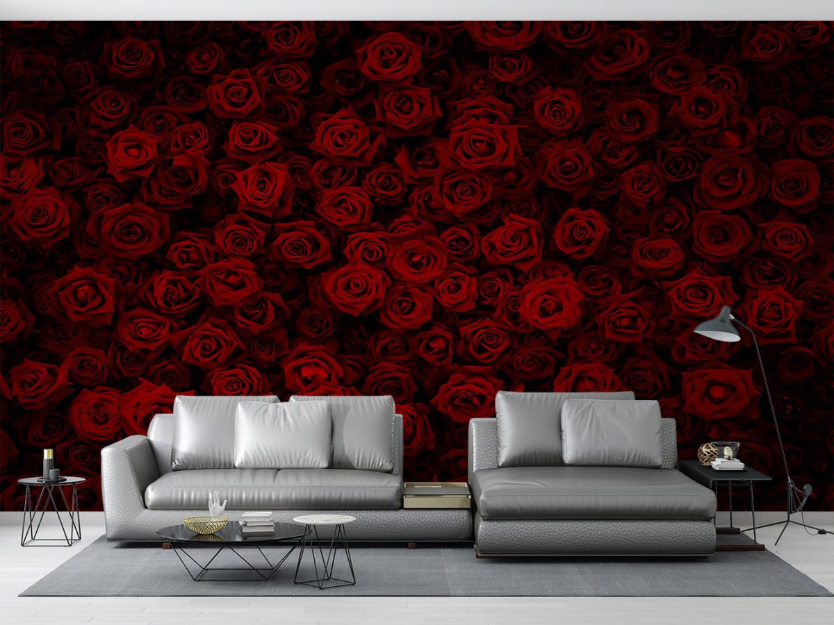کاغذ دیواری گل رز قرمز W10276700