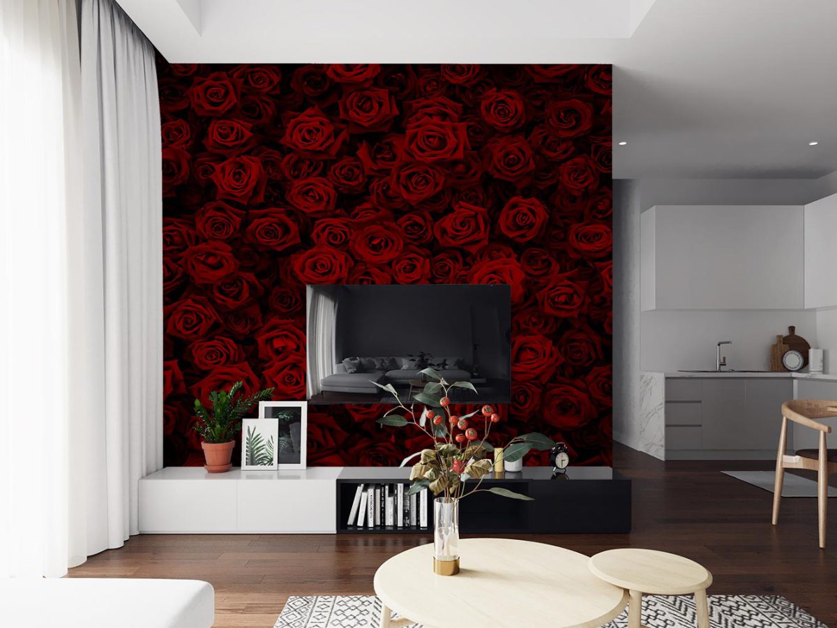کاغذ دیواری پشت تیوی طرح مدل گل رز قرمز W10276700