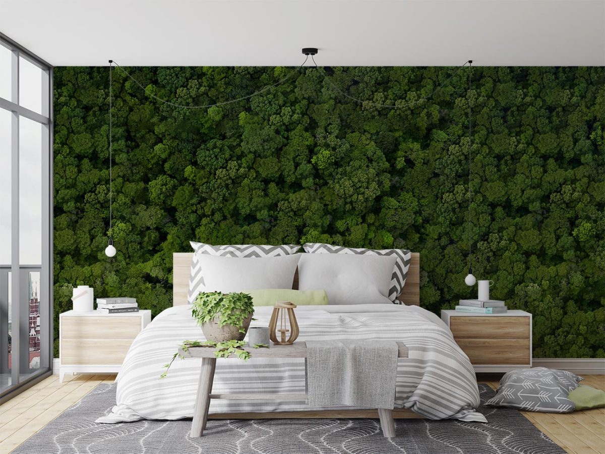 کاغذ دیواری طبیعت سبز و زیبا W10287200