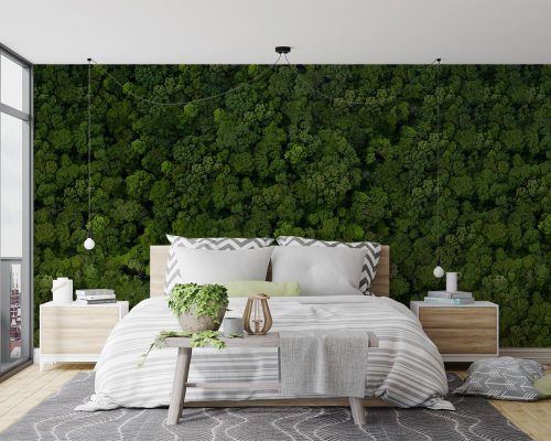 کاغذ دیواری طبیعت سبز و زیبا W10287200