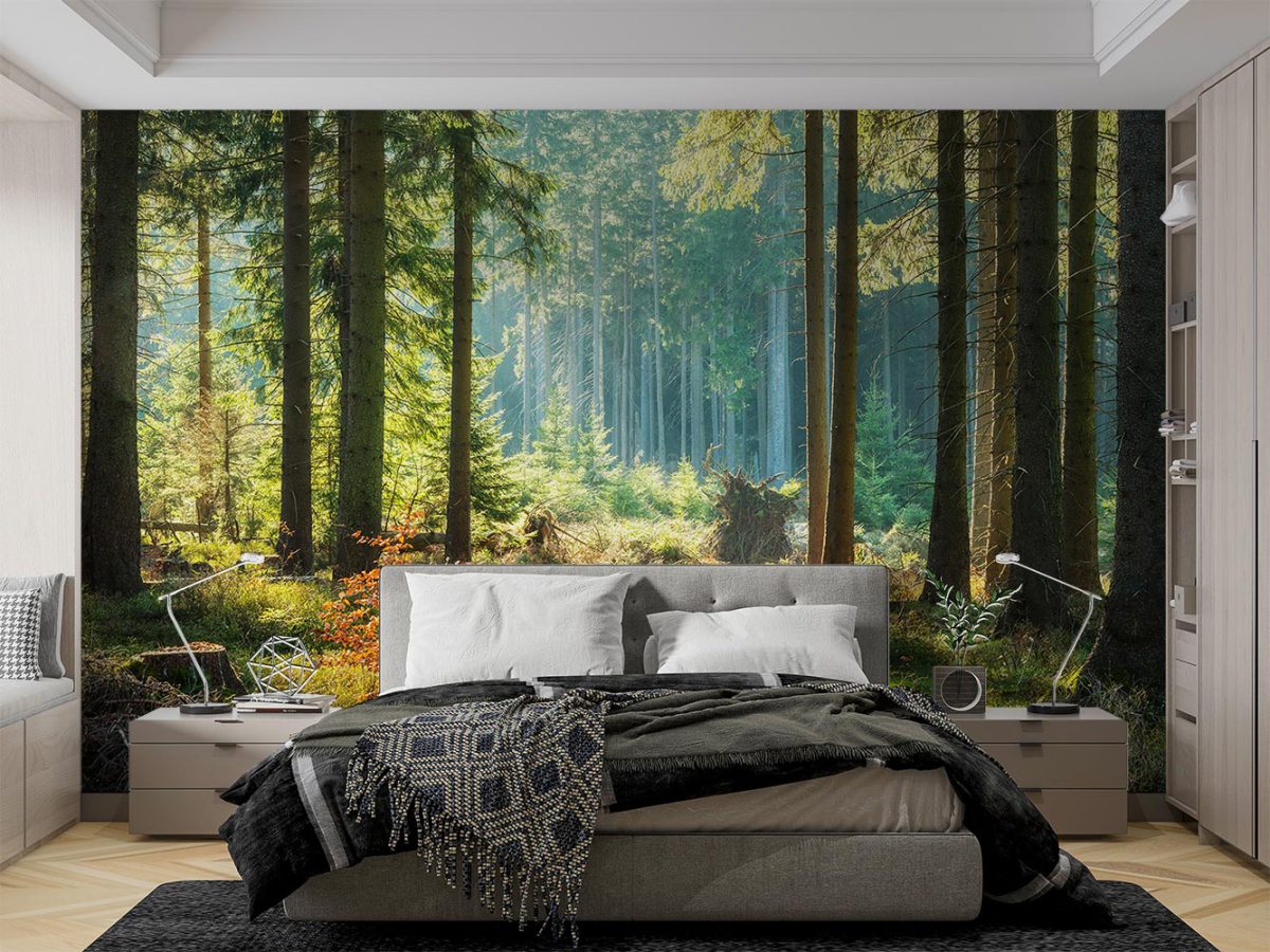 پوستر دیواری طرح جنگل W10295700