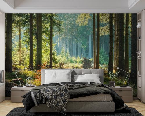 پوستر دیواری طرح جنگل W10295700