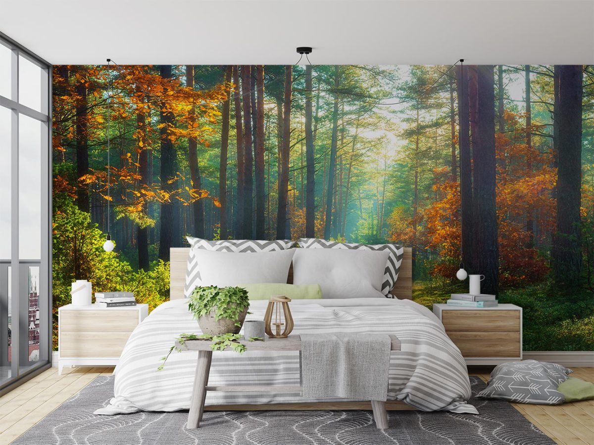پوستر دیواری جنگل طبیعت زیبا W10296100